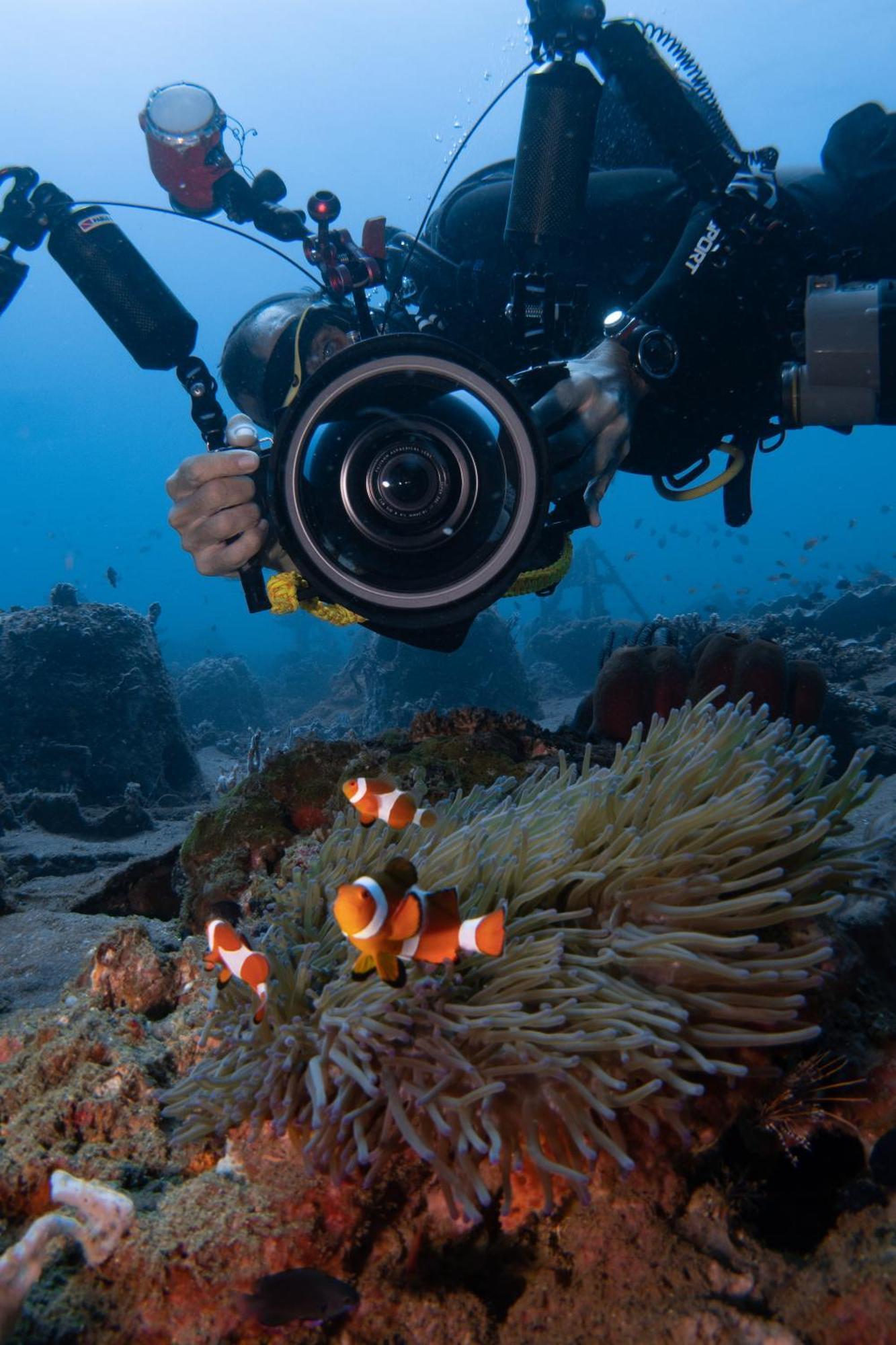 Vitaminsea Room Дауин Экстерьер фото