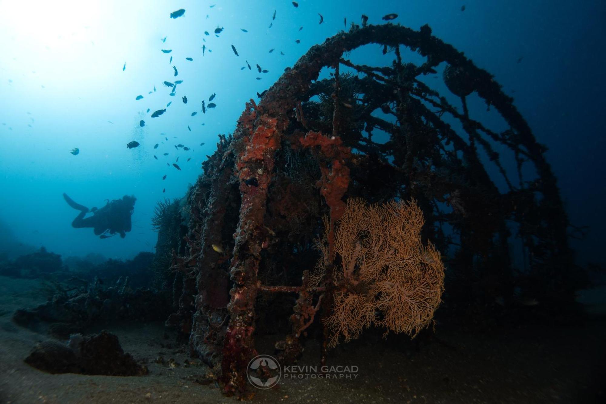 Vitaminsea Room Дауин Экстерьер фото
