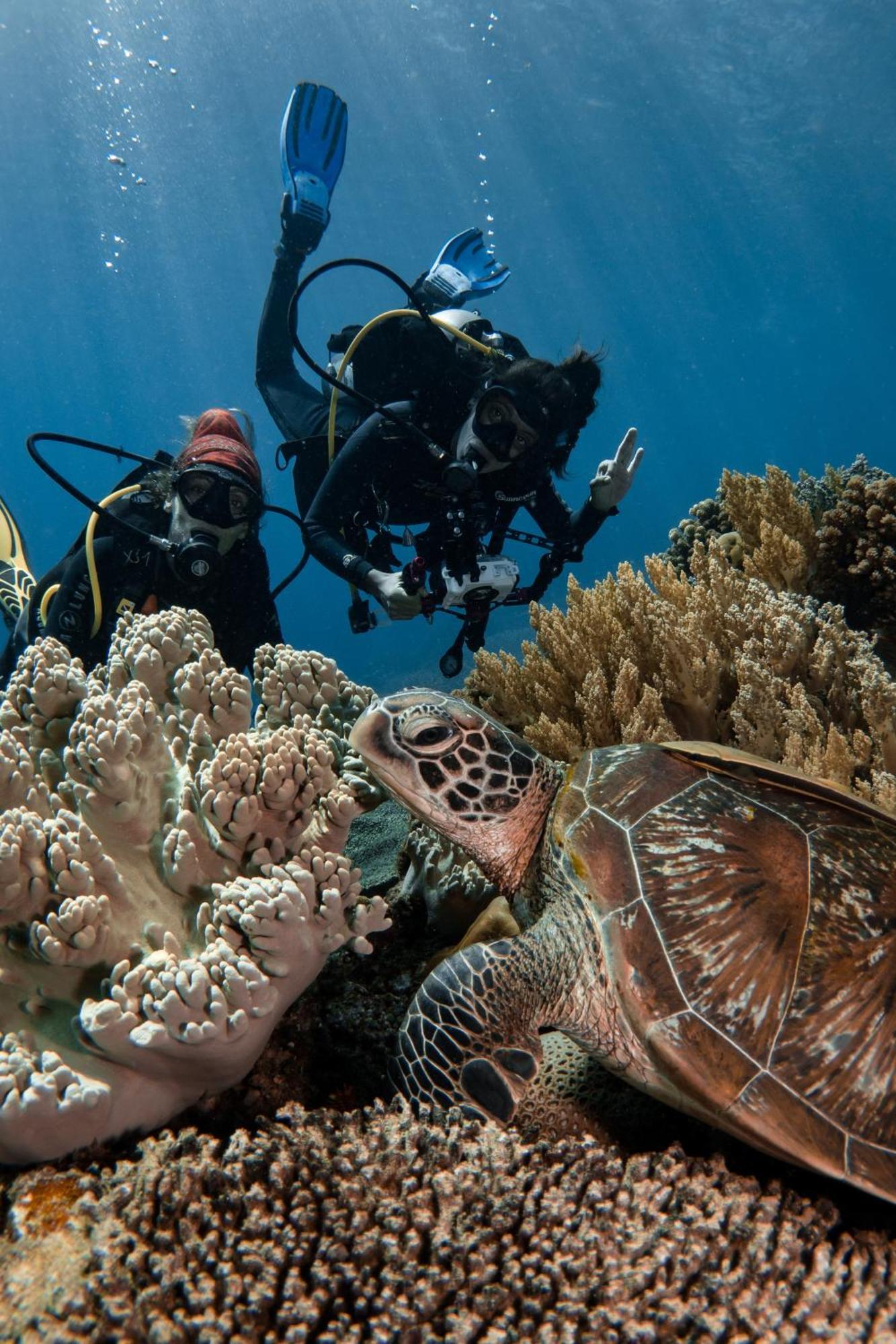 Vitaminsea Room Дауин Экстерьер фото