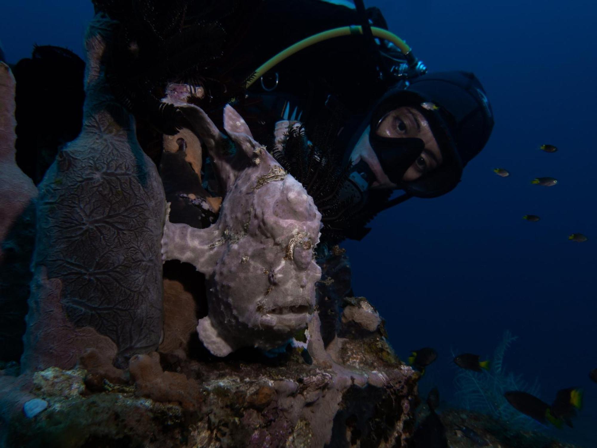 Vitaminsea Room Дауин Экстерьер фото