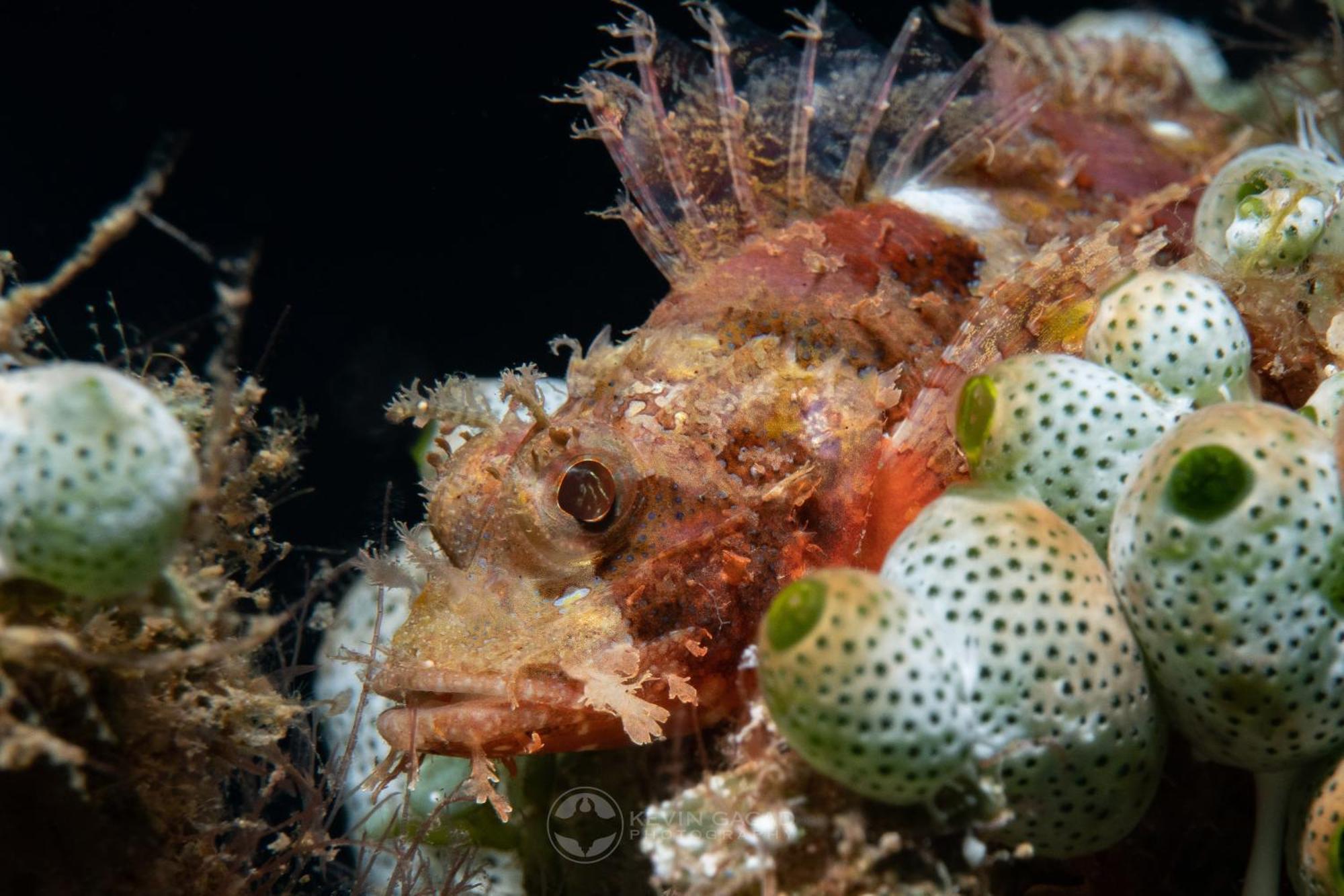 Vitaminsea Room Дауин Экстерьер фото